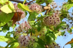 P1100188