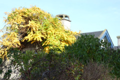 P1100195